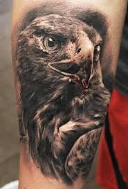 Bird Of Prey Tattoo Promobonus On Twitter Animal Tattoos Animal Tattoo Animal Tattoo Meanings