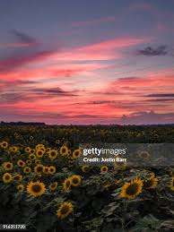 111 Ray Barr Stock Photos, High-Res Pictures, and Images