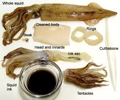 Step By Step Instructions On How To Clean Squid Squid Recipes Food Calamari Recipes