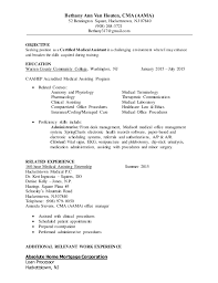 cma resume bv