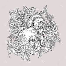 Maybe you would like to learn more about one of these? Human Heart With Rose Flowers And Leaves Hand Drawn Composition For Print Vector Illustration Engraved Royalty Free Cliparts Vectors And Stock Illustration Image 98856051