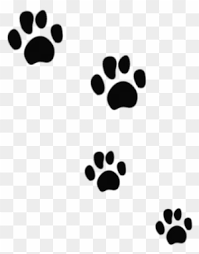 Pattes De Chien Clipart 6 By Matthew Empreinte Patte De Chat Free Transparent Png Clipart Images Download