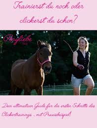 Alltagsgegenstande Aus Dem Mobelhaus Und Wie Ich Sie Fur Den Stall Verwenden Kann Weiter Geht Es Mit Den Hacks Aus Pferdetipps Pferdeliebe Bodenarbeit Pferd