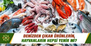 Denizden Cikan Urunlerin Hayvanlarin Hepsi Yenir Mi Kalamar Karides Ahtapot Yengec Midye Kerevit Istakoz Gibi Urunler Yenir Mi Sorularla Islamiyet