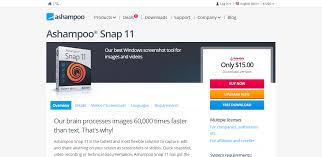 Tinygrab makes instant screenshot sharing a snap on the mac. Best Screen Capture Software And Screenshot Tools Javatpoint
