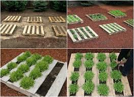 Hochbeet Aus Paletten Bauen Fur Erdbeeren Gemuse Und Co Hochbeet Pflanzen Pflanzen Hochbeet