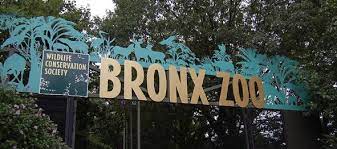 Pin By Sarah Hassan On Places I Ve Been Yonkers New York Bronx Zoo Nyc Trip