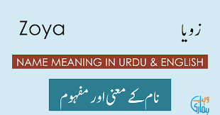 Zoya Name Meaning In Urdu Ø²ÙˆÛŒØ§ Zoya Meaning Definition Muslim Girl Name