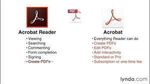Adobe acrobat pro dc running on windows 10. Adobe Acrobat 6 0 Professional Free Download Full Version Cinelasopa