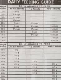 iams puppy food amount chart best picture of chart