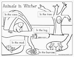 The students fill in the vocabulary easily print a free hibernating animals worksheet directly from your browser. Free Printable Coloring Pages Hibernating Animals Hibernating Animals Preschool Winter Animals Preschool Animals That Hibernate