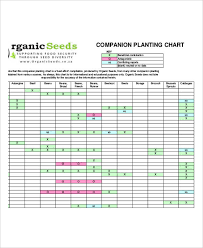 Companion Planting Chart 9 Free Excel Pdf Documents