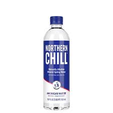 Northern Chill Water Bottle (16.9 oz) - The Local Store
