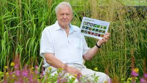 Big Butterfly Count Sir David Attenborough Wants You To