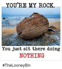 You Re My Rock You Just Sit There Doing Nothing Thelooneybin Meme On Me Me