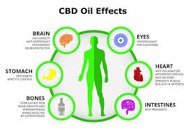 Effects Of Cbd Candy
