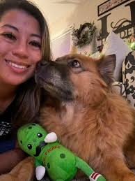 Coping with the loss of a beloved pet