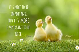 Joy Of Mom It S Nice To Be Important But It S More Important