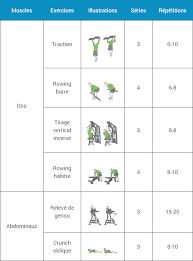 Programme Musculation Debutant Espace Musculation Com En 2020 Programme Musculation Musculation Pour Debutant Programme Musculation Homme