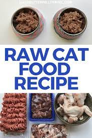Raw Cat Food Recipe Keto Kitties With Allergies Have Butter Will Travel Recipe Raw Cat Food Recipes Homemade Raw Cat Food Raw Dog Food Recipes