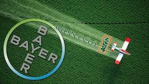 It changed its business plan to target food. How A Bayer Monsanto Merger Will Wind Up Costing You At The Grocery Store Marketwatch