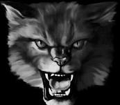 Wells Girls Varsity Volleyball @ Wendover
