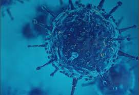 A variante foi encontrada em seis tripulantes de um navio procedente do país que está atracado no litoral do estado. Maranhao Confirma Primeiros Casos Da Variante Indiana Do Coronavirus No Brasil Folha Pe