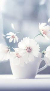 Beautiful photos of nature beautiful fantasy art nature pictures beautiful flowers beautiful pictures flowery wallpaper. Nature Flowers Iphone Wallpapers Top Free Nature Flowers Iphone Backgrounds Wallpaperaccess