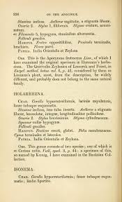 Image result for Isonema