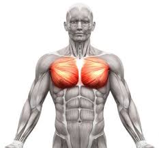Krafttraining Fur Zuhause Ohne Gerate Zur Traumfigur