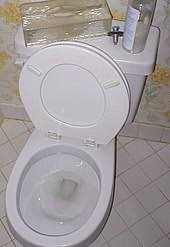 Check spelling or type a new query. Toilet Wikipedia