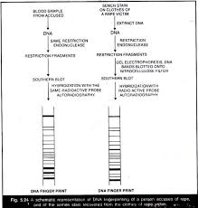 dna fingerprinting technique and significance