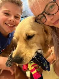 The Golden Boys telling me “Bye, mom!” “Hurry back home-with treats!”  Cooper and Scout 💛💛