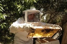 Shortlist for Marilyn Stafford FotoReportage Award 2023