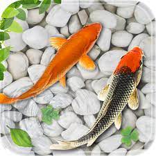 If you have your own one, just send us the image and we will show it on the. Fish Live Wallpaper 2018 Aquarium Koi Backgrounds Amazon De Apps For Android