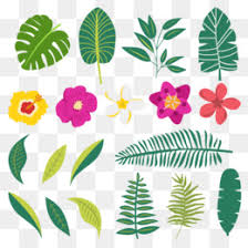 96 gambar daun dan bunga animasi cikimm com ada beberapa gambar bunga terindah dan terunik yang tersebar didunia. Bunga Png Free Download Monarch Butterfly