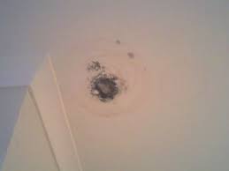 Mold inspection center is the number one place for anyone looking to schedule mold testing in houston businesses and homes. Black Mold Houston Testing Toxic Iaq Environmental