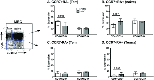Ccr7 was described initially as a potent leukocyte chemotactic receptor that was later shown to be responsible of directing the migration of dendritic cells (dcs) to the lymph nodes where these cells. Memory Marker Expression Ccr7 And Cd45ra Surface Staining Was Download Scientific Diagram