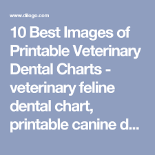 10 Best Images Of Printable Veterinary Dental Charts