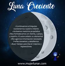 Pin By Toan Campos On Lunas Pie Chart Chart Witch