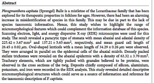 Image result for Phragmanthera capitata