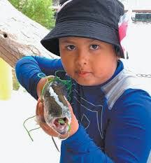 Seth Steiner's Instagram, Twitter & Facebook