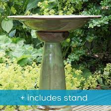Dine at our snazzy neighbourhood. Echoes Ceramic Bird Bath Stand Offer Rspb Shop