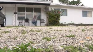 It sure would save me a lot of work. the answer may be disappointing. Man Warned By City Nearly 30 Years After Replacing Sod With Rocks In Front Of Home