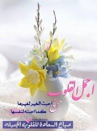 f33e13e928cd39eeffc09b36e0ffcaac beautiful morning messages good morning images flowers good morning flowers