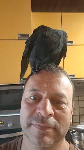 Cristian Florin Ivan