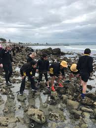 Week 9 Term 3 2017 newsletter