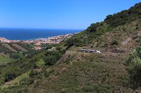 Banyuls sur mer office de tourisme ** : Petit Train Du Cellier Des Templiers Banyuls Sur Mer Klein Zug