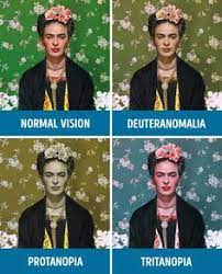 However, it is extremely rare to be totally color blind. 10 Best Color Blind Ideas Color Blind Color Vision Color