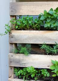 Maybe you would like to learn more about one of these? Diy Pallet Herb Garden Freckled Italian